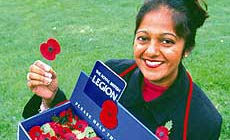 Poppy Collector